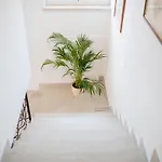 Apartamento Starcevic Kampor