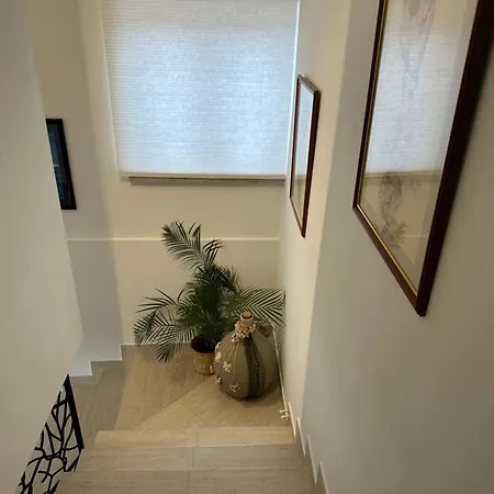 Starcevic Apartment