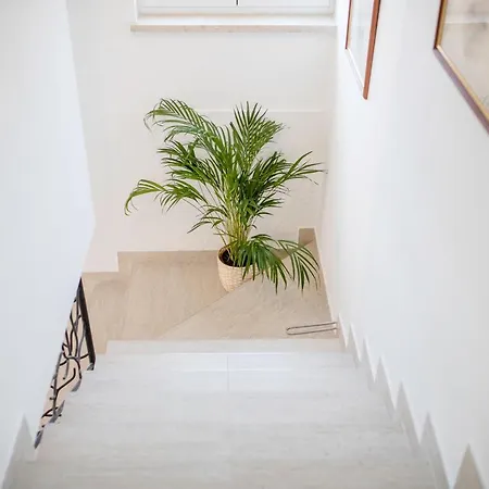 Apartman Starcevic Kampor